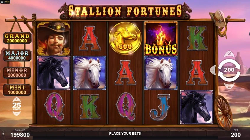 stallion fortunes