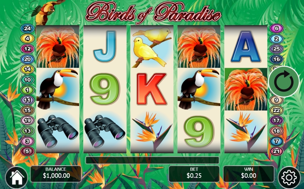 Birds of Paradise 1win