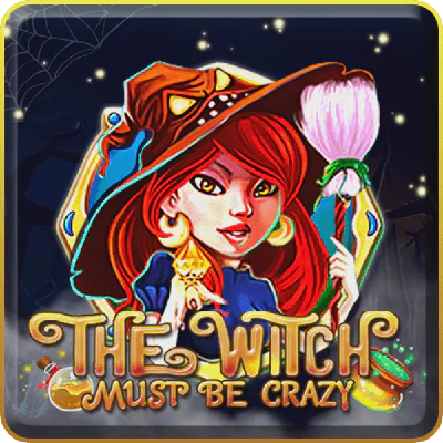 TheWitchMustBeCrazy