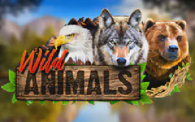 Wild Animals