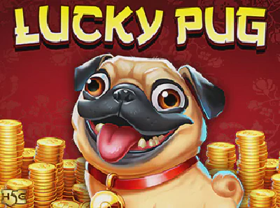 Lucky Pug