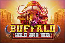 Buffalo Hold and Win Казино Игра на гривны 🏆 1win Украина