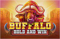 Buffalo Hold and Win Казино Игра на гривны 🏆 1win Украина