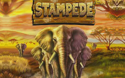 Elephant Stampede