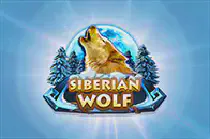 Siberian Wolf Казино Игра на гривны 🏆 1win Украина