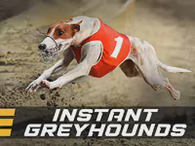 Instant Greyhounds