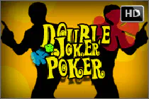 Double Joker Poker HD Казино Игра на гривны 🏆 1win Украина