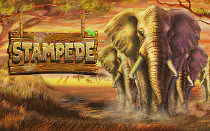 Stampede 🐘 Игровой автомат в дикой природе на 1win